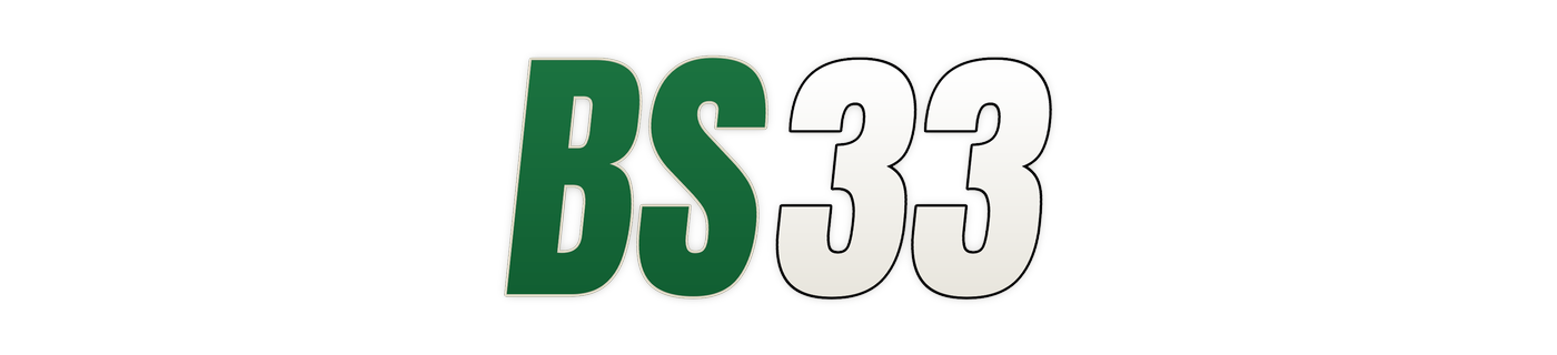 bs33